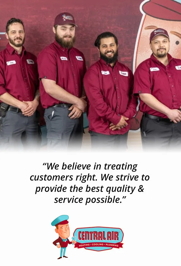 friendly team, customer service quote